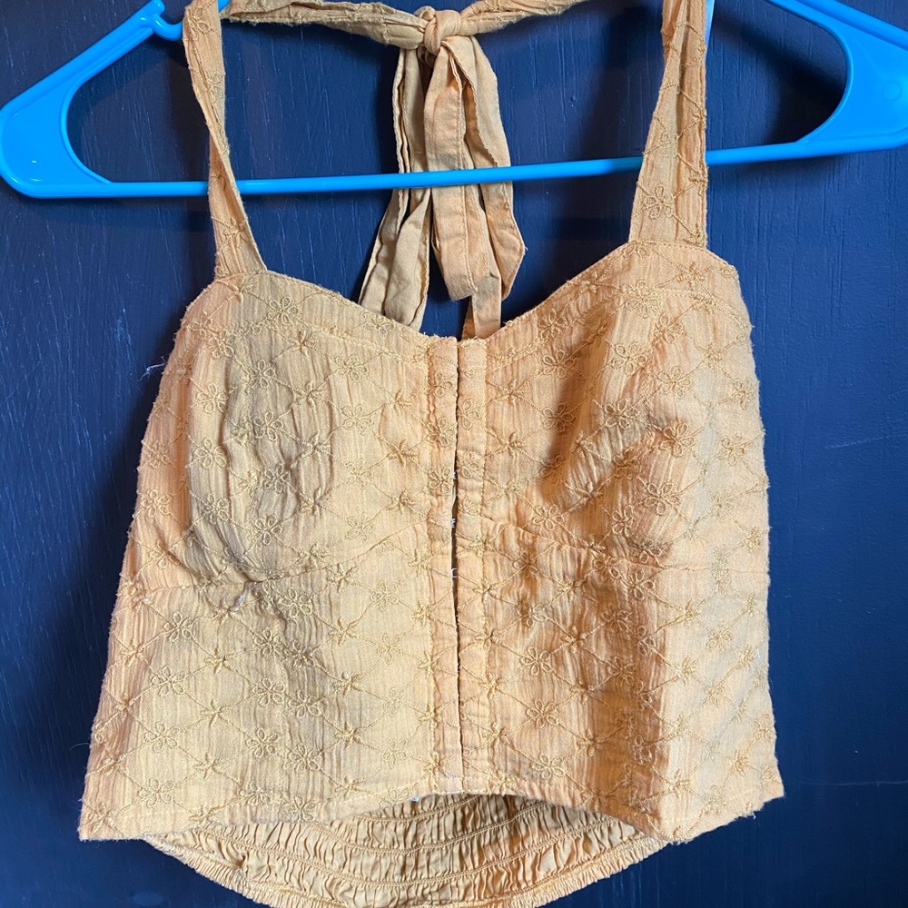 American Eagle Croptop